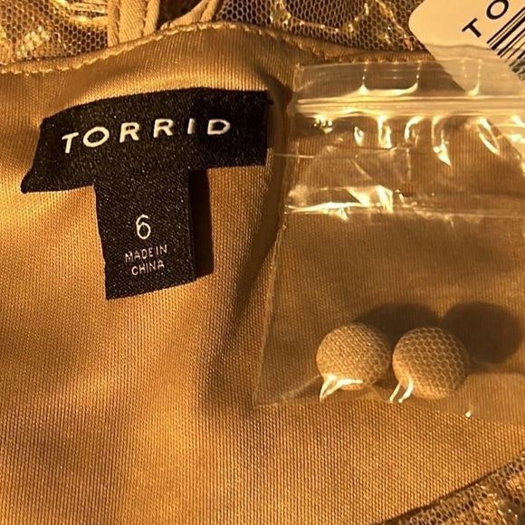 Torrid Women's Tank Top 6X Sparkly Champaign Rose Gold Mesh Overlay Lined - Picture 11 of 16